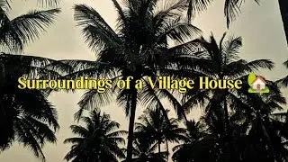 ಹಳ್ಳಿ ಮನೆಯ ಸುತ್ತಮುತ್ತ 🌾 | ಶಾಂತ ನಡಿಗೆ ಅನುಭವ | Village Life Journey
