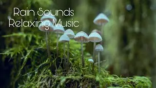 Relaxing Music / Rain Sounds / DMT / Rain Trance / Extra Sensory Perceptions / Lucid Dreams