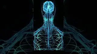 Neural Energy Boost: Strengthen Your Mind with Powerful Frequencies