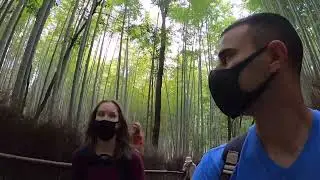Kyoto: Tenryu ji Zen Temple and Arashiyama Bamboo Forest