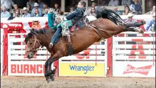 Calgary Stampede Rodeo 2022