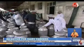 Meru Dairy Cooperative Union raises farmgate price to help boost milk production