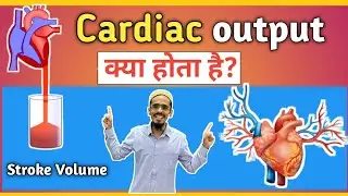 Cardiac output vs stroke volume | what is Cardiac output and How it is Calculated?