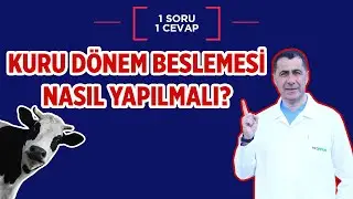 Kuru d&ouml;nem beslemesi nasıl yapılmalı?