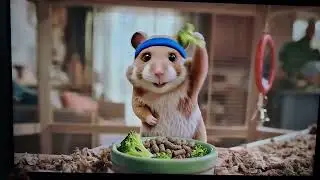 Cute hamster advert for NHS Healthy Choices campaign ❤️ Copyright NHS (probably)!!!!