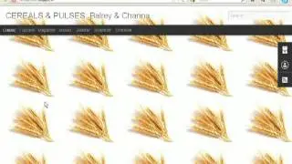 ncdexcommodity positional call tips www.ncdexcommodity.com