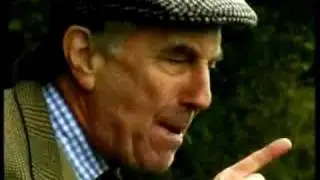 Roy of the Rovers