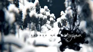 зарази меня жизнью | starknight