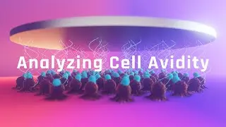 Analyzing Cell Avidity | LUMICKS z-Movi