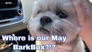 Where Is Our May 2021 BarkBox?!?
