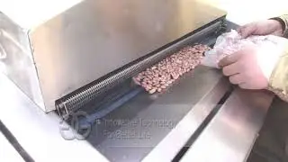 Peanut Frying Machine Manufacturer In China|Nuts Fryer Test Video From Cara@machinehall.com