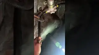 Fuel system on sn95 Ls swap #automobile #fordmustang #fuelsystem