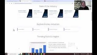 Finding Company and Industry Information - MAR201, Professor Reitano
