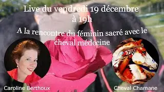 A la rencontre du féminin sacré avec le cheval médecine