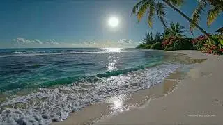 Focus 🎯 Barbados West Coast &mdash; Caribbean Sea Ocean Sounds | Sleep &bull; Study | 12h &bull; 4K | 🌴🌊