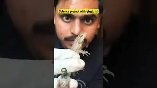 science project experiment with girgit 🦎 #animals #funny #2025 #greenscreen #reaction #shorts