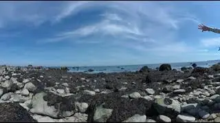 SoMAS Field Trip - Crane Neck Rocky Intertidal Zone