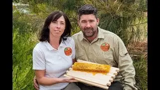 Southern Forests Honey