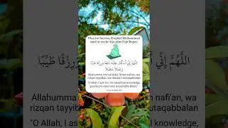 Dua for Success, Prophet Muhammad used to recite this after Fajr Prayer