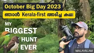 ഒറ്റയടിക്ക് എല്ലാ കിളികളെയും പൊക്കി! | October Big Day | Birding | Malayalam | Vlogoskie e12