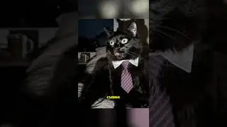 Ai re-light  управление светом на фото после съемки #AI #Фотография #Свет