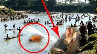 Primitive Technology: Catching Fish by Hands - Asian Traditional Fishing