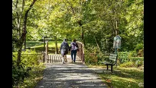 Living in Somerset, MD: The Ultimate Local Guide | Homes.com