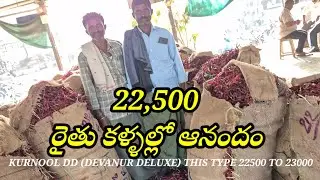 19/01/2026 ఇంకా మిర్చి ధరలు పెరగాలని రైతన్నలు కోరుకుంటున్నారు