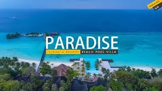 Honeymoon in paradise island & resort | Beach pool villa | The good and the bad experience