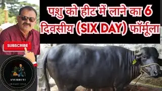 पशुओँ को हीट में लाने का छह दिवसीय (6 day) फार्मूला