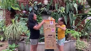 Unboxing rare and exotic ornament plant