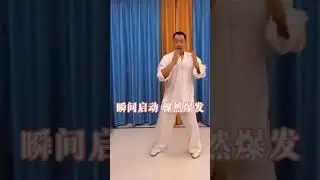 Sifu Wen Taiyuan #tuishou #kungfu #artesmarcialeschinas #fightingstyles #artesmarciales #taichi