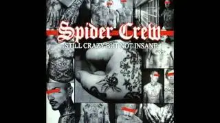 Spider Crew - 9. No Competition