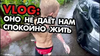 VLOG: ОНО НЕ ДАЕТ НАМ СПОКОЙНО ЖИТЬ, НА БАЛИ