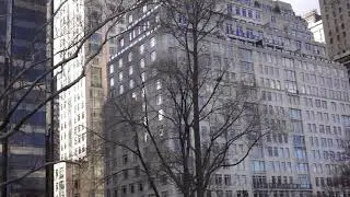 Views from Central Park of the Buildings Around the Park