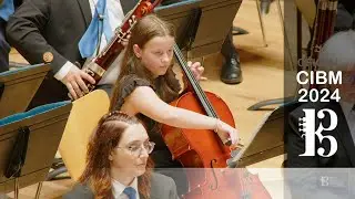 2024 S2 | Sociedad Musical La Familiar De Benisanó - Dragón Elliot