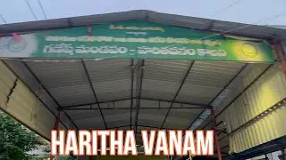 Haritha Vanam colony || Bachupally ||