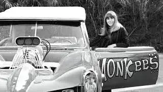Ann Moses Book Trailer