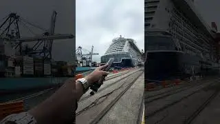 MERCHANT NAVY VS CRUISE #merchantnavy #cruiseship #cruise #seafarer #job