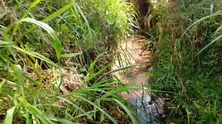 Small river in buriba village 🇹🇿 mara region 
