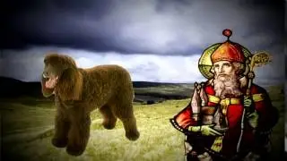 Dog Breeds - Irish water spaniel. Dogs 101 Animal Planet