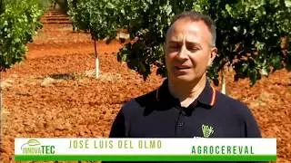 RIEGO POR GOTEO SUBTERRÁNEO: EXPERIENCIA DE AGROCEREVAL EN VIÑEDO ECOLÓGICO