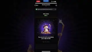 Hamster kombat daily combo 6th july|| hamster kombat daily combo today || hamster kombat #hamsters