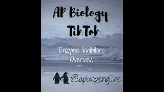 AP Bio TikTok: Enzyme Inhibitor Overview