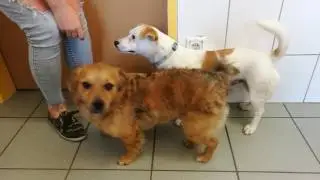 VID 20170712 132956