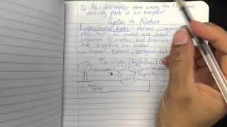 Cycles in Nature Notes