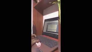 ASMR typing & studying Zoom class