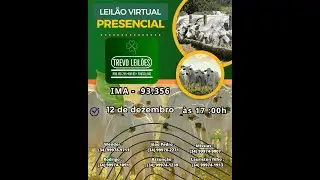 Leilão Presencial e Virtual  na Trevo Leilões, FRUTAL-MG - Dia 12/12/2025