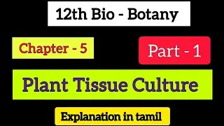 Plant Tissue Culture| 12th Bio Botany chapter 1 explanation in tamil 