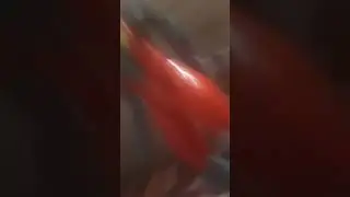 primera parte darver le dijo  amasti yo soy tu padre